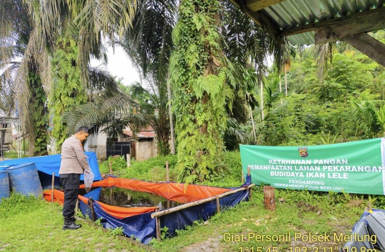 Aipda Hendri Sambangi Peternak Ikan Patin, Jalin Komunikasi dan Dukung Ekonomi Lokal